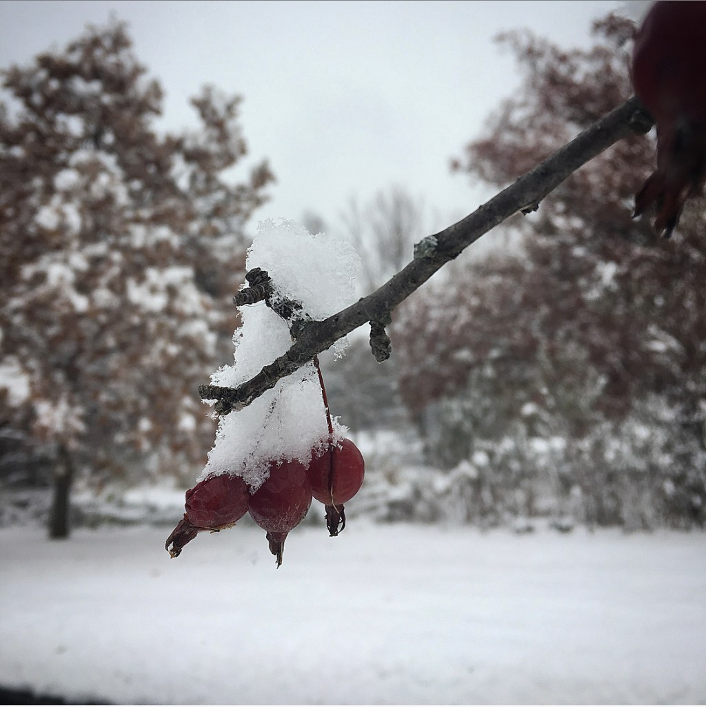 Sticks and Stones and Broken&nbsp;Stories